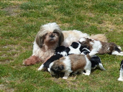 bébés de jessy